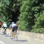 Barnet Highway Bike Lane