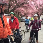 links to our best posts on cycling gear