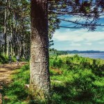 The UK boasts some of the most beautiful countryside in the world, from crystal clear lakes to rugged wilderness. It's a great place to cycle!