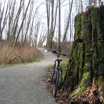 Deer Lake Park Trails Views bike next to tree