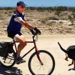 How to Train Your Dog to Safely Run Next to You When You Are Cycling