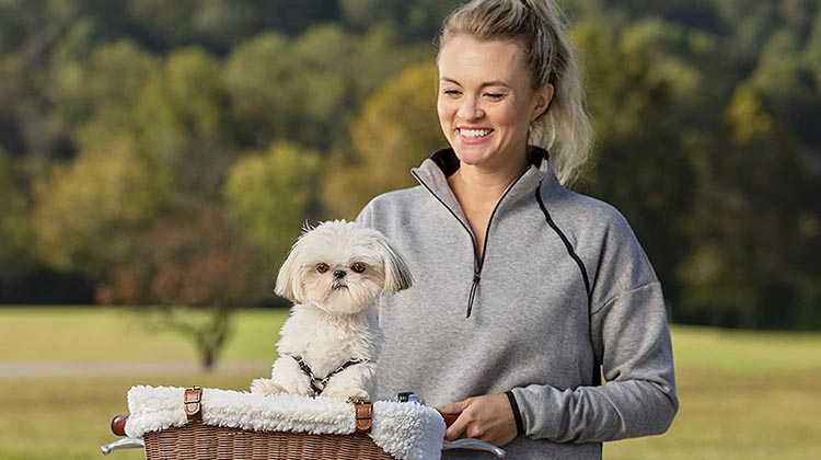 Dog bike basket header(1) 7 best dog bike baskets