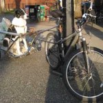 Dog-on-a-bike-trailer