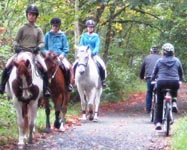 Galloping-Goose-Trail-horses-and-cyclists