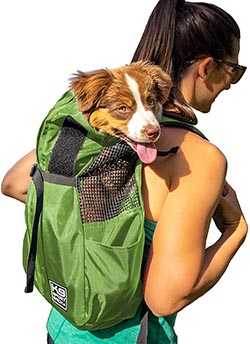 No. 2: K9 Sport Sack - best dog carriers