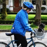 Maggie with Billy in Axiom Pet basket
