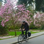Vancouver Cycling Culture
