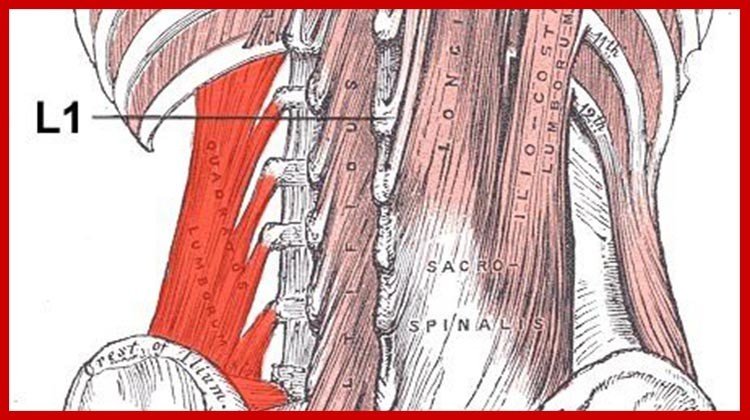 Side pain in cyclists