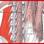 Side pain in cyclists