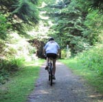 Springboard Trail, Belcarra Park uphill