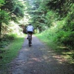 Springboard trail in Belcarra Park