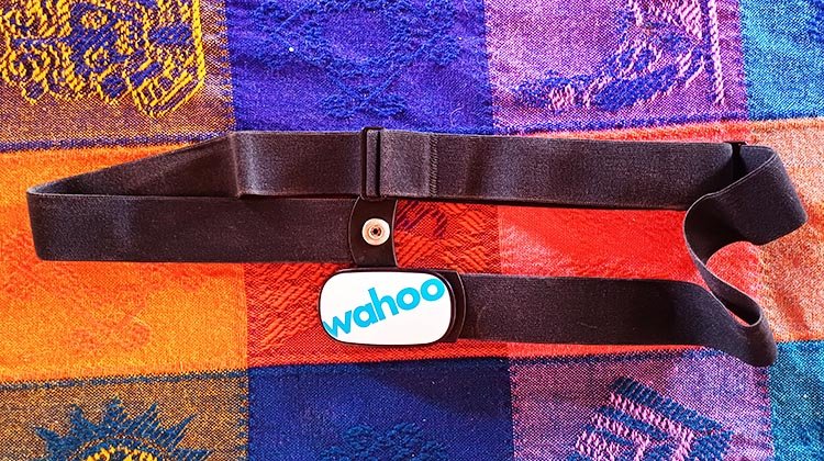 Wahoo TICKR post head Wahoo TICKR Heart Rate Monitor – Our Review