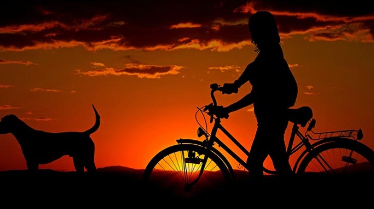 woman bike and dog at sunset 2 Get a new bike, and then get outside and have fun!